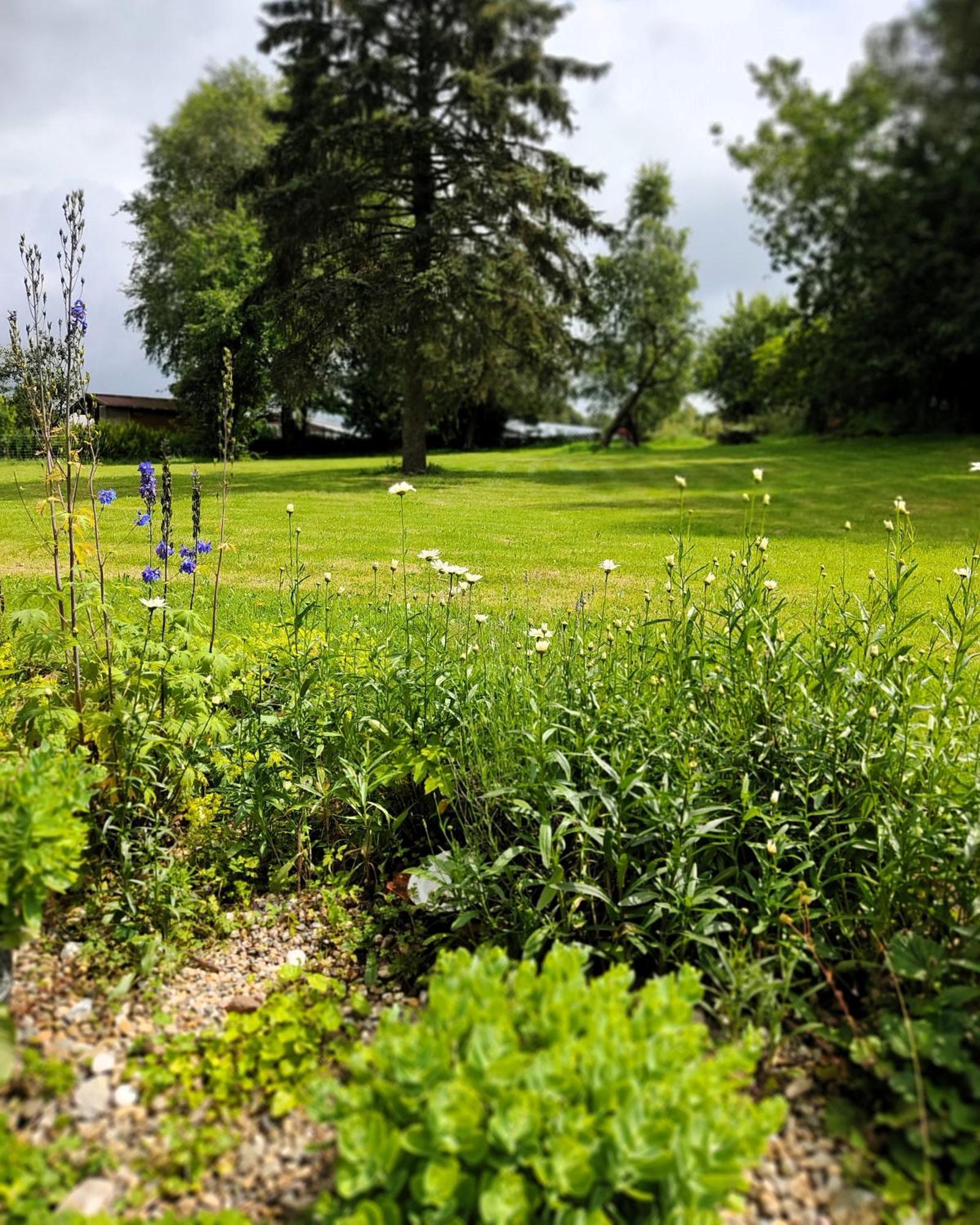 Gruenvogels Landgasthof Zum Gruenen Baum Oberzent Kültér fotó