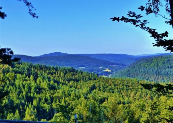 Gruenvogels Landgasthof Zum Gruenen Baum Oberzent Kültér fotó